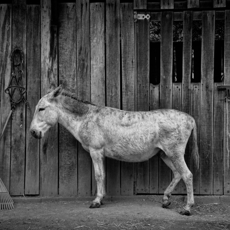 Photographic Work Carlos Caceres Lavergne Madison Estudio ©
