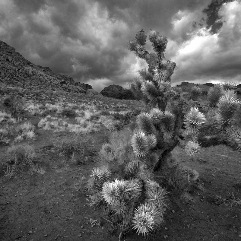 Obra Fotográfica Carlos Caceres Lavergne Madison Estudio ©